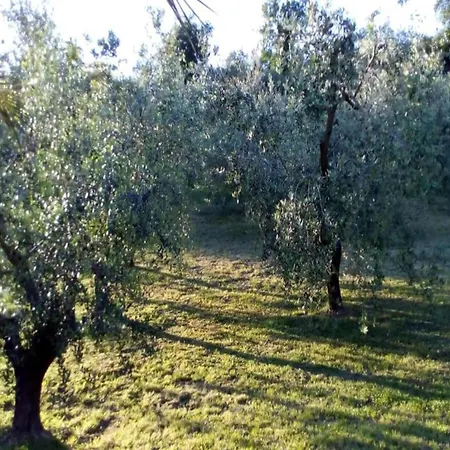 度假居 In Near Adriatic Sea