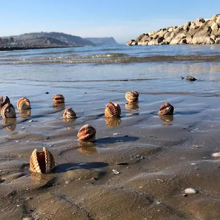 In Near Adriatic Sea 別荘 *